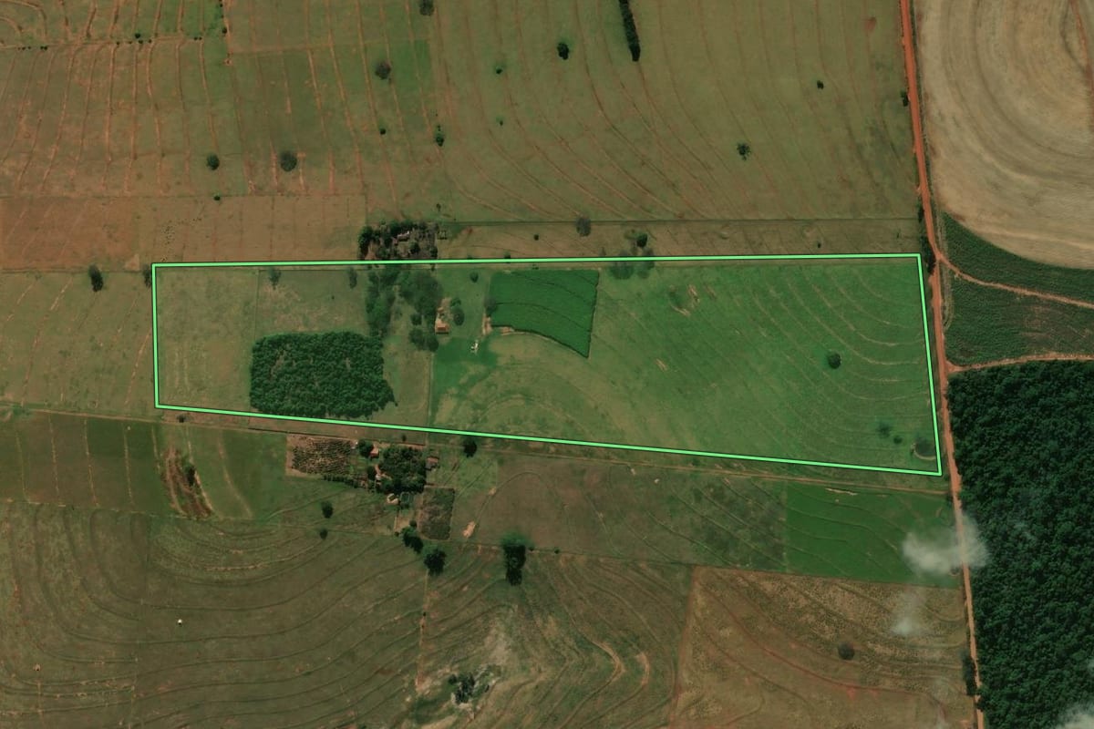 Imagem de satélite do imóvel rural em Amaporã (PR), com o contorno declarado no CAR desenhado por cima.