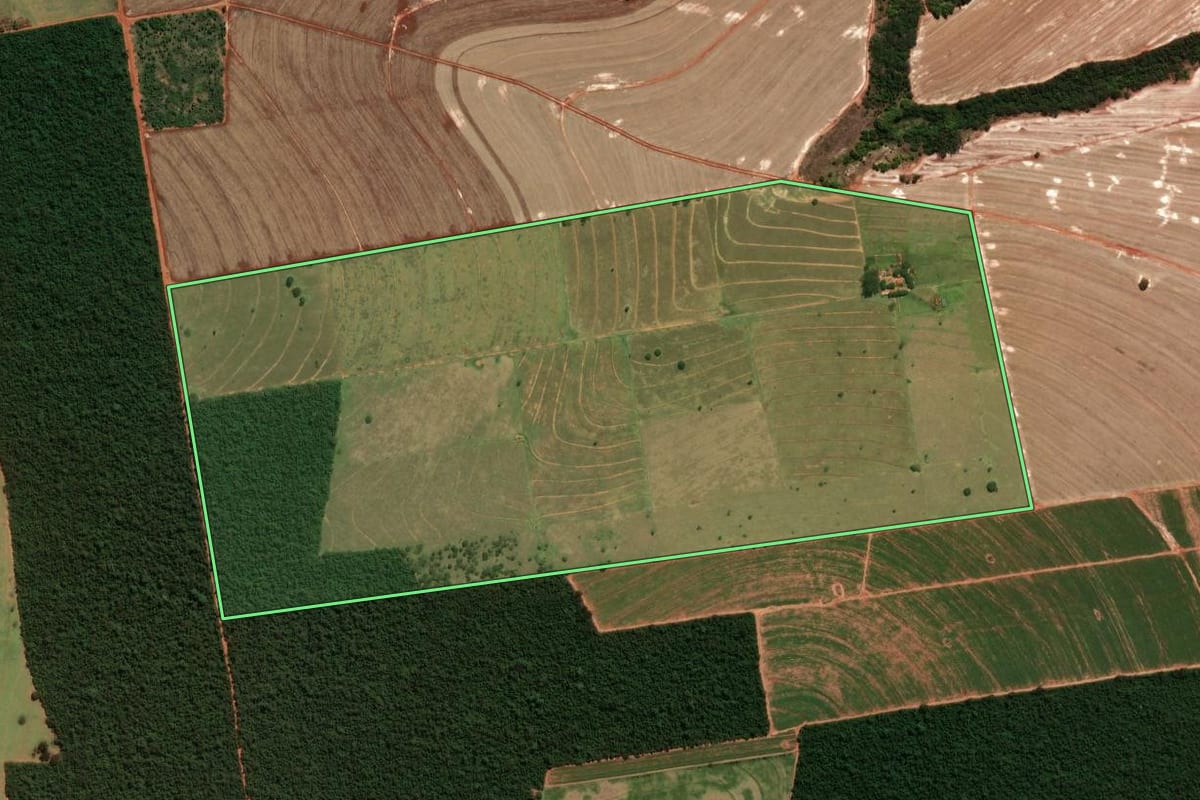 Imagem de satélite do imóvel rural em Amaporã (PR), com o contorno declarado no CAR desenhado por cima.