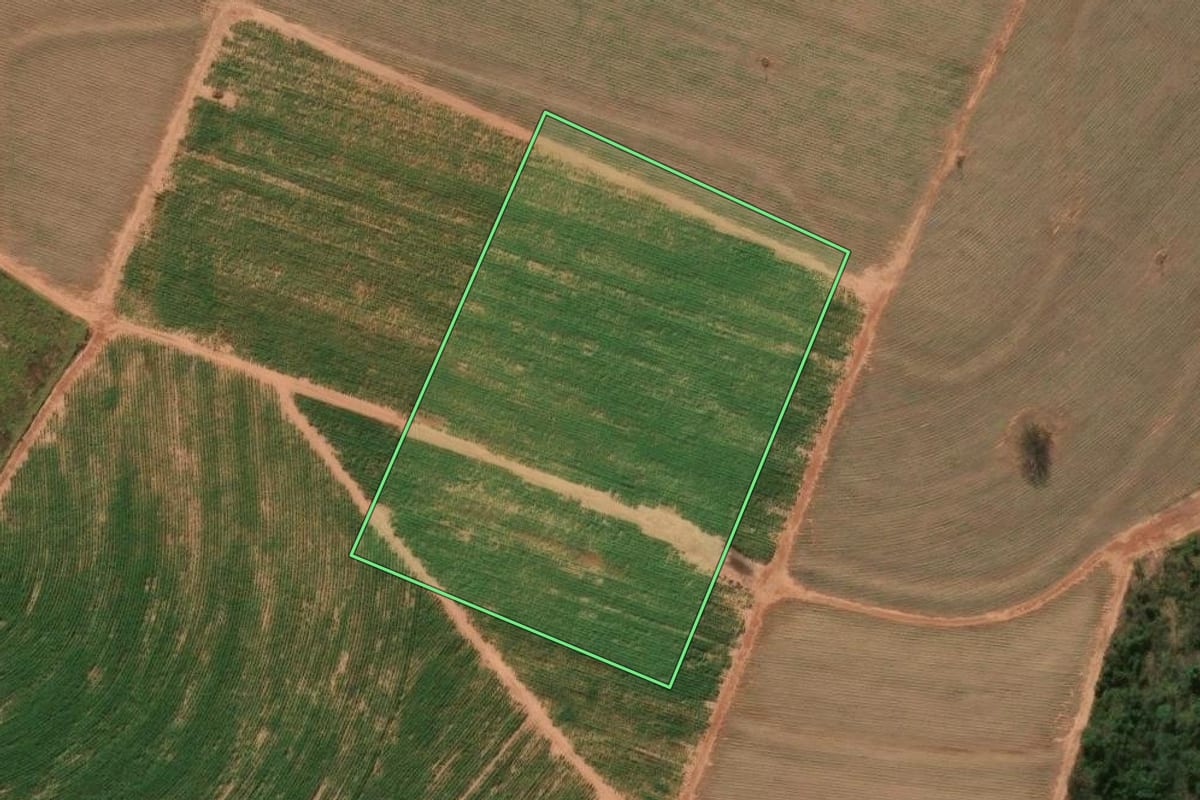 Imagem de satélite do imóvel rural em Amaporã (PR), com o contorno declarado no CAR desenhado por cima.
