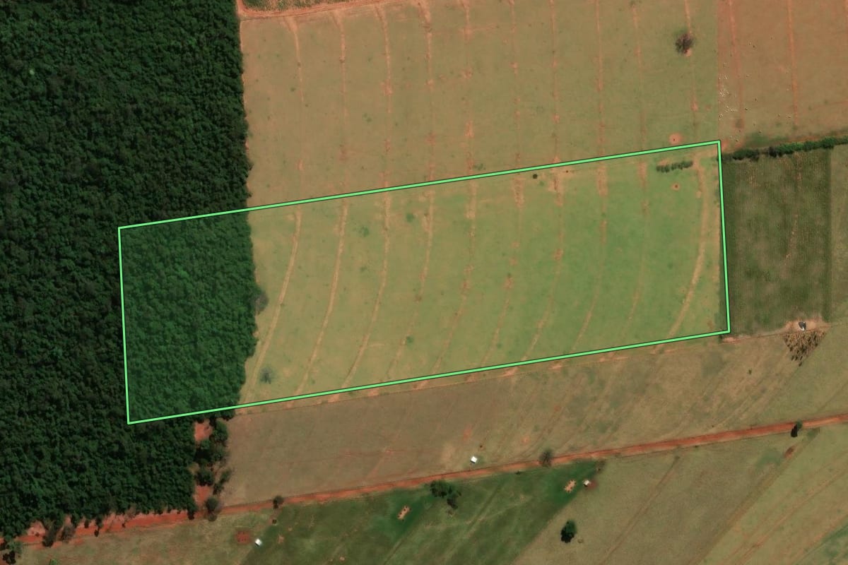 Imagem de satélite do imóvel rural em Amaporã (PR), com o contorno declarado no CAR desenhado por cima.