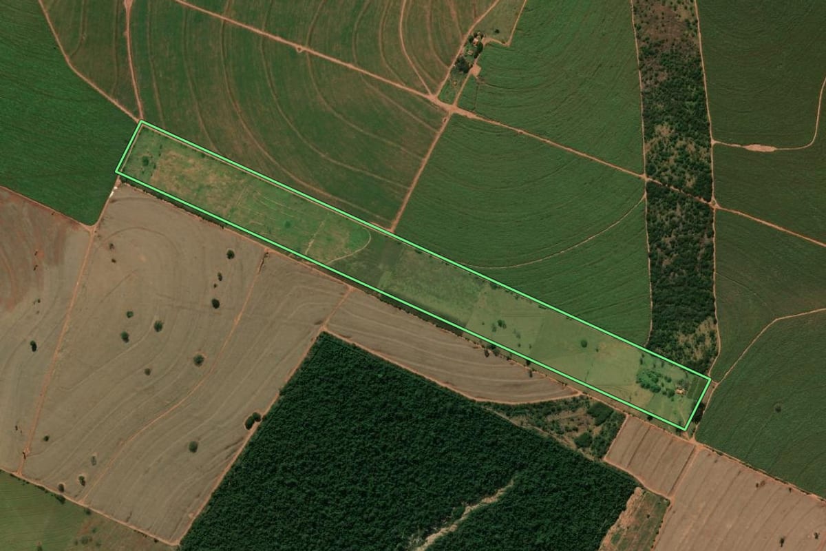 Imagem de satélite do imóvel rural em Amaporã (PR), com o contorno declarado no CAR desenhado por cima.