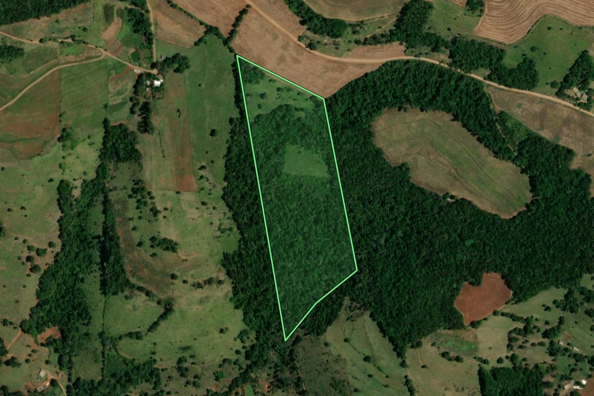 Imagem de satélite do imóvel rural em Ampére (PR), com o contorno declarado no CAR desenhado por cima.