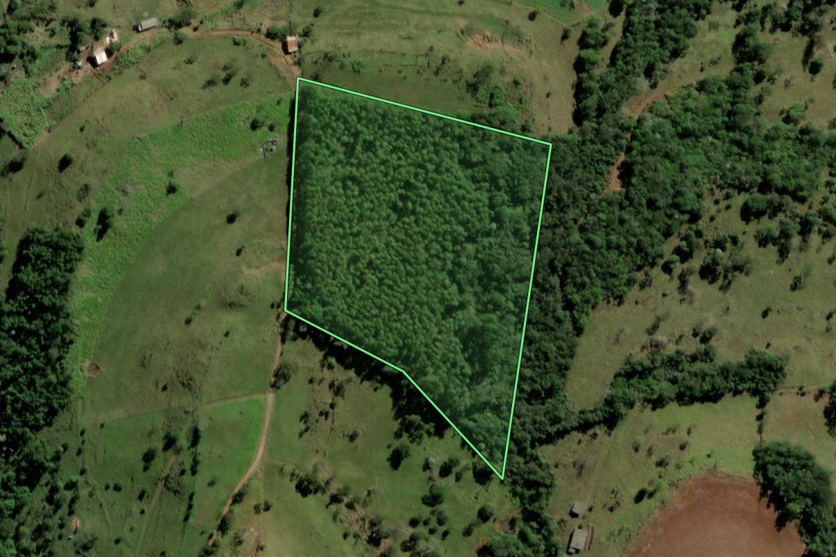 Imagem de satélite do imóvel rural em Ampére (PR), com o contorno declarado no CAR desenhado por cima.
