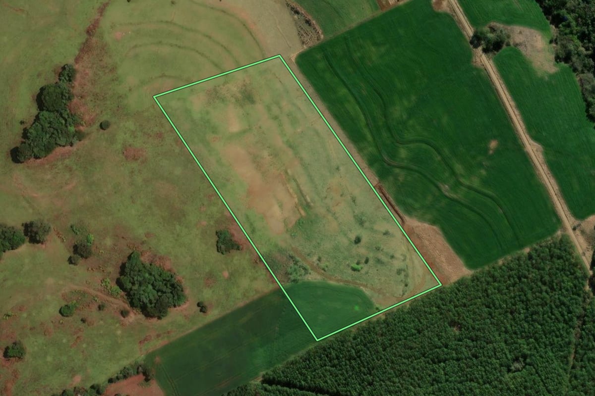 Imagem de satélite do imóvel rural em Ampére (PR), com o contorno declarado no CAR desenhado por cima.