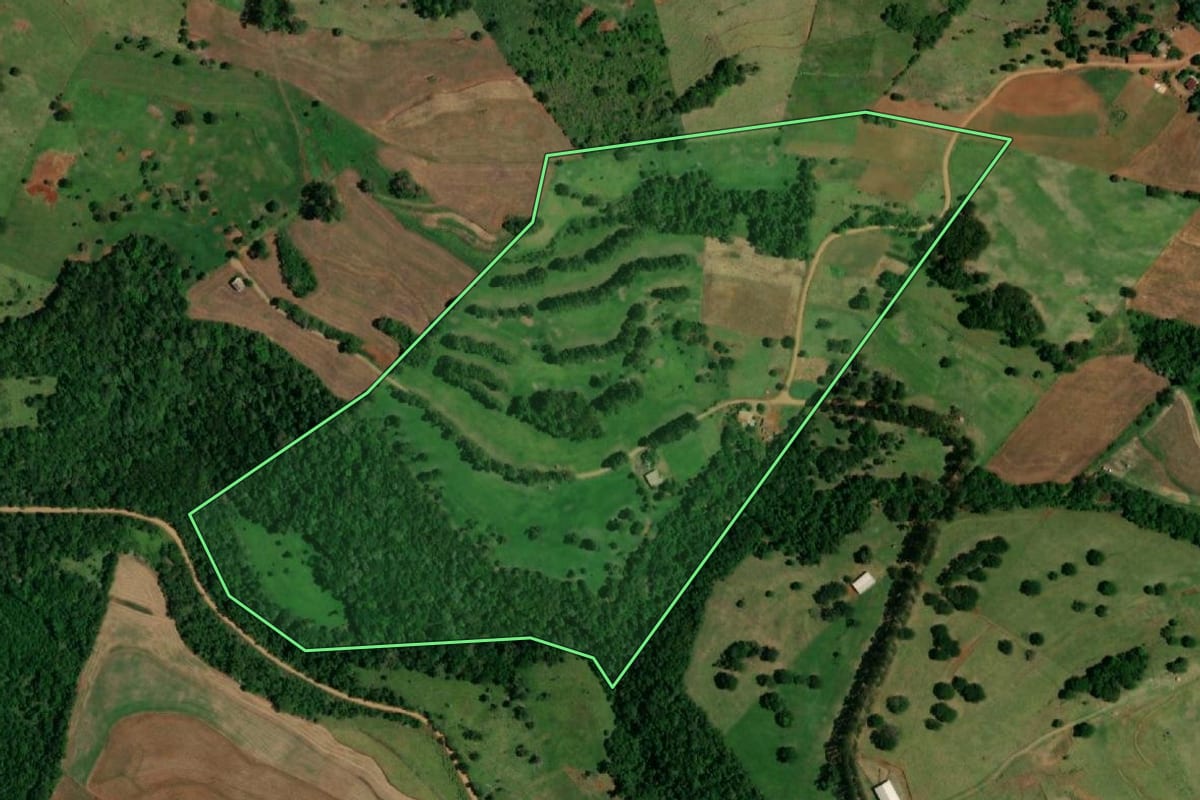 Imagem de satélite do imóvel rural em Ampére (PR), com o contorno declarado no CAR desenhado por cima.