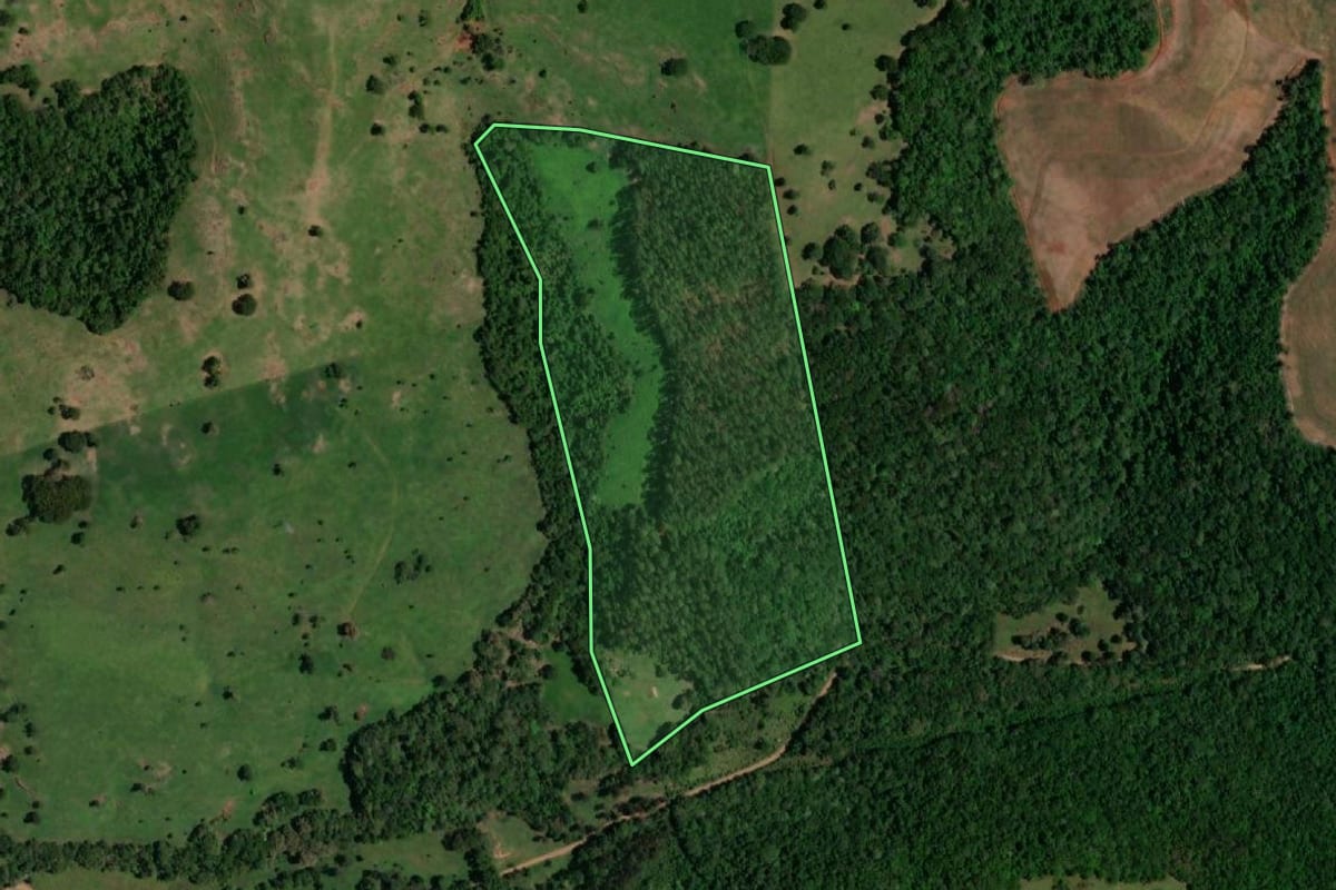 Imagem de satélite do imóvel rural em Ampére (PR), com o contorno declarado no CAR desenhado por cima.