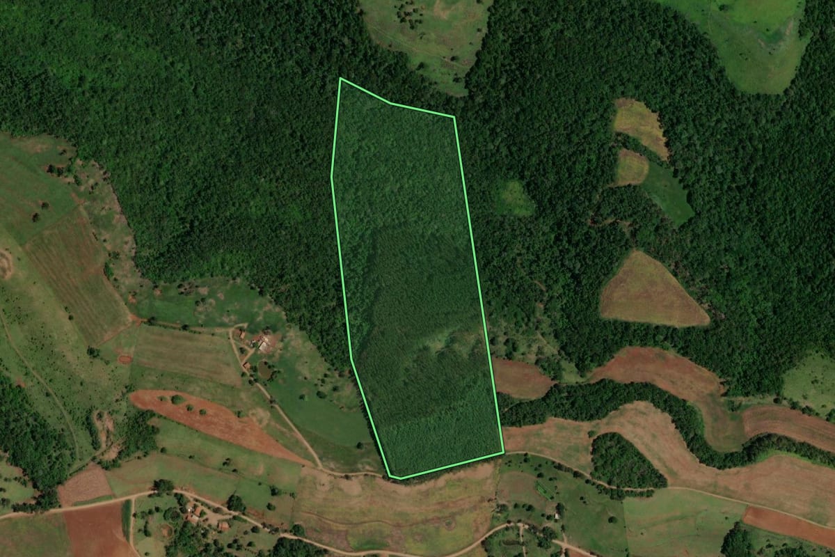 Imagem de satélite do imóvel rural em Ampére (PR), com o contorno declarado no CAR desenhado por cima.