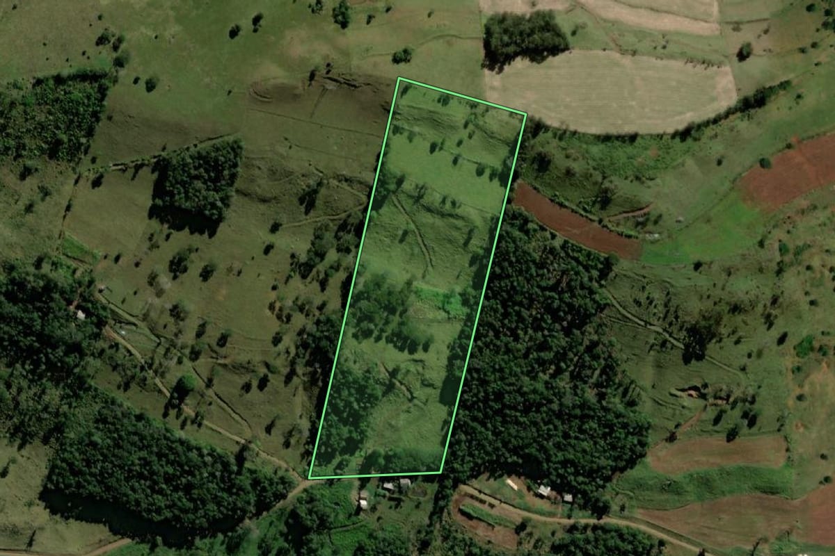 Imagem de satélite do imóvel rural em Ampére (PR), com o contorno declarado no CAR desenhado por cima.