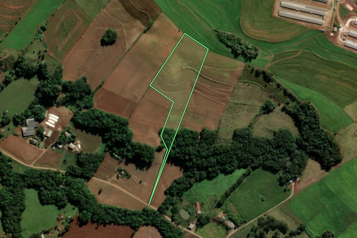 Imagem de satélite do imóvel rural em Ampére (PR), com o contorno declarado no CAR desenhado por cima.