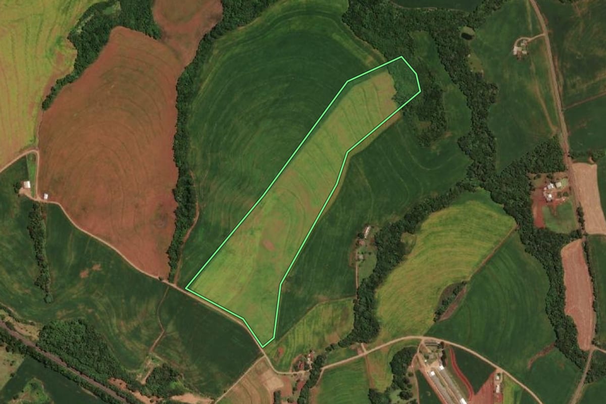 Imagem de satélite do imóvel rural em Ampére (PR), com o contorno declarado no CAR desenhado por cima.