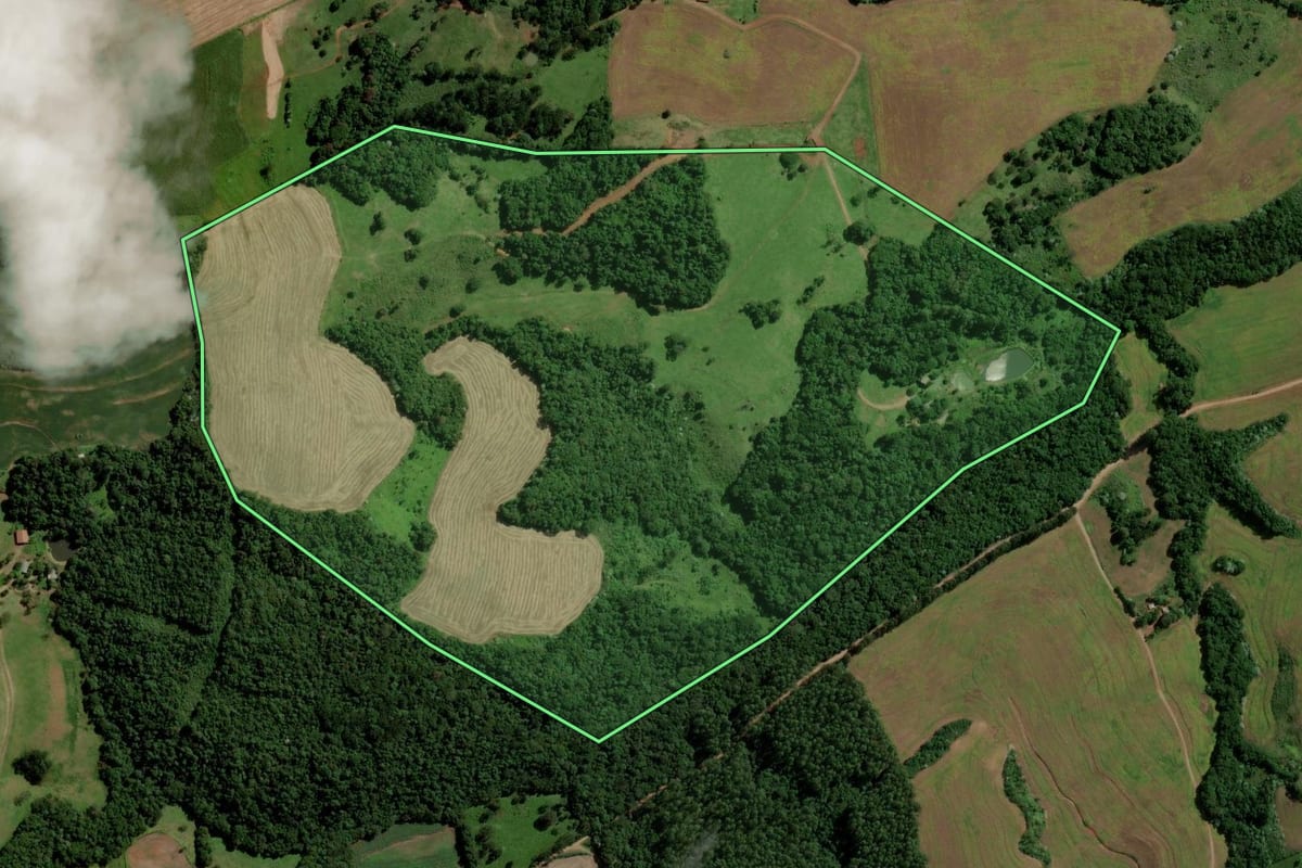 Imagem de satélite do imóvel rural em Ampére (PR), com o contorno declarado no CAR desenhado por cima.