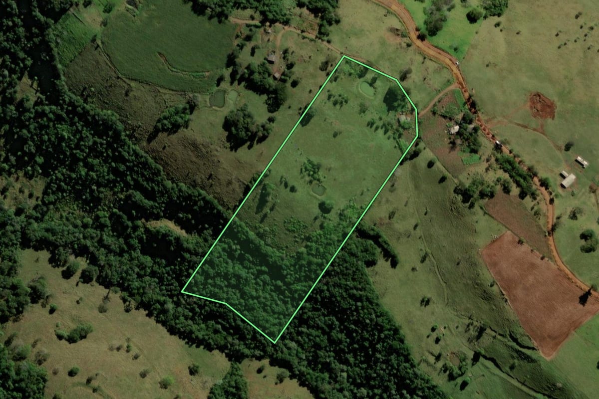 Imagem de satélite do imóvel rural em Ampére (PR), com o contorno declarado no CAR desenhado por cima.