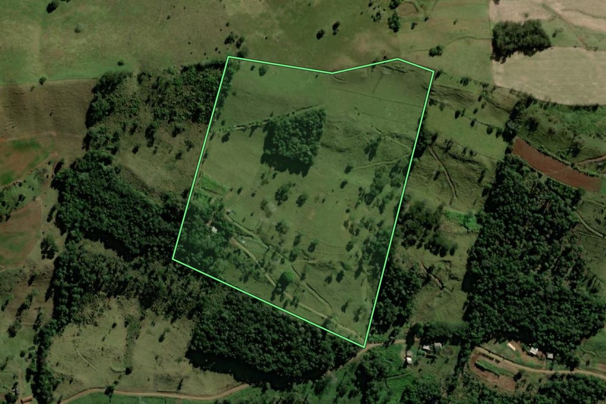 Imagem de satélite do imóvel rural em Ampére (PR), com o contorno declarado no CAR desenhado por cima.