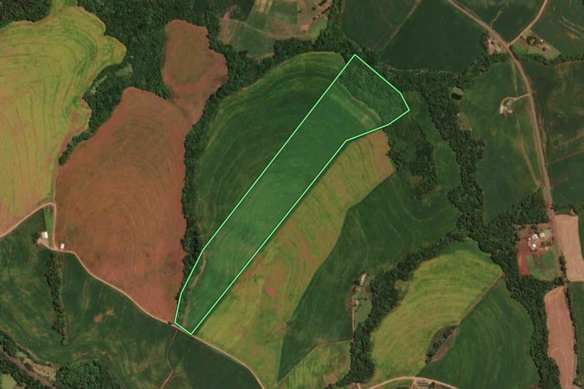 Imagem de satélite do imóvel rural em Ampére (PR), com o contorno declarado no CAR desenhado por cima.