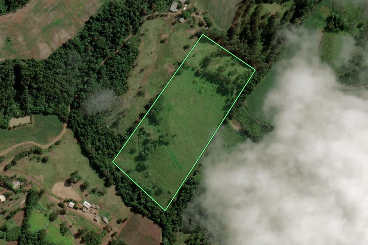 Imagem de satélite do imóvel rural em Ampére (PR), com o contorno declarado no CAR desenhado por cima.