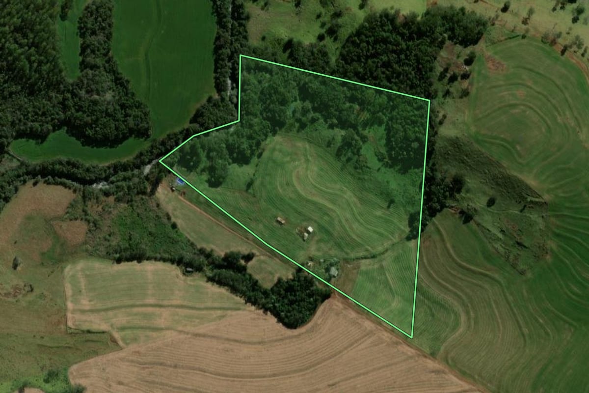Imagem de satélite do imóvel rural em Anahy (PR), com o contorno declarado no CAR desenhado por cima.
