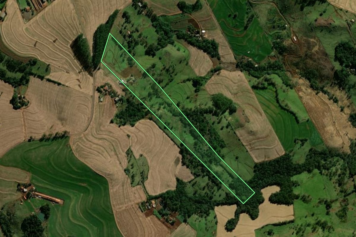 Imagem de satélite do imóvel rural em Anahy (PR), com o contorno declarado no CAR desenhado por cima.