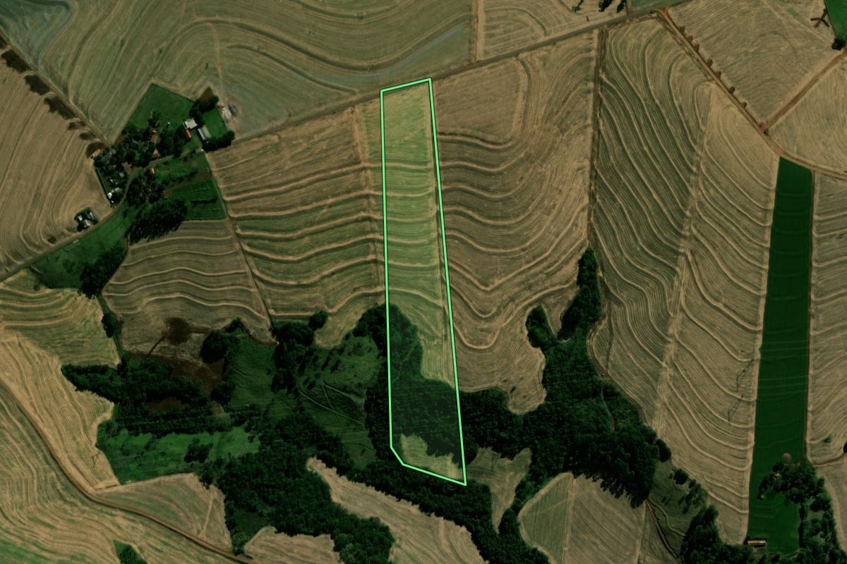 Imagem de satélite do imóvel rural em Anahy (PR), com o contorno declarado no CAR desenhado por cima.