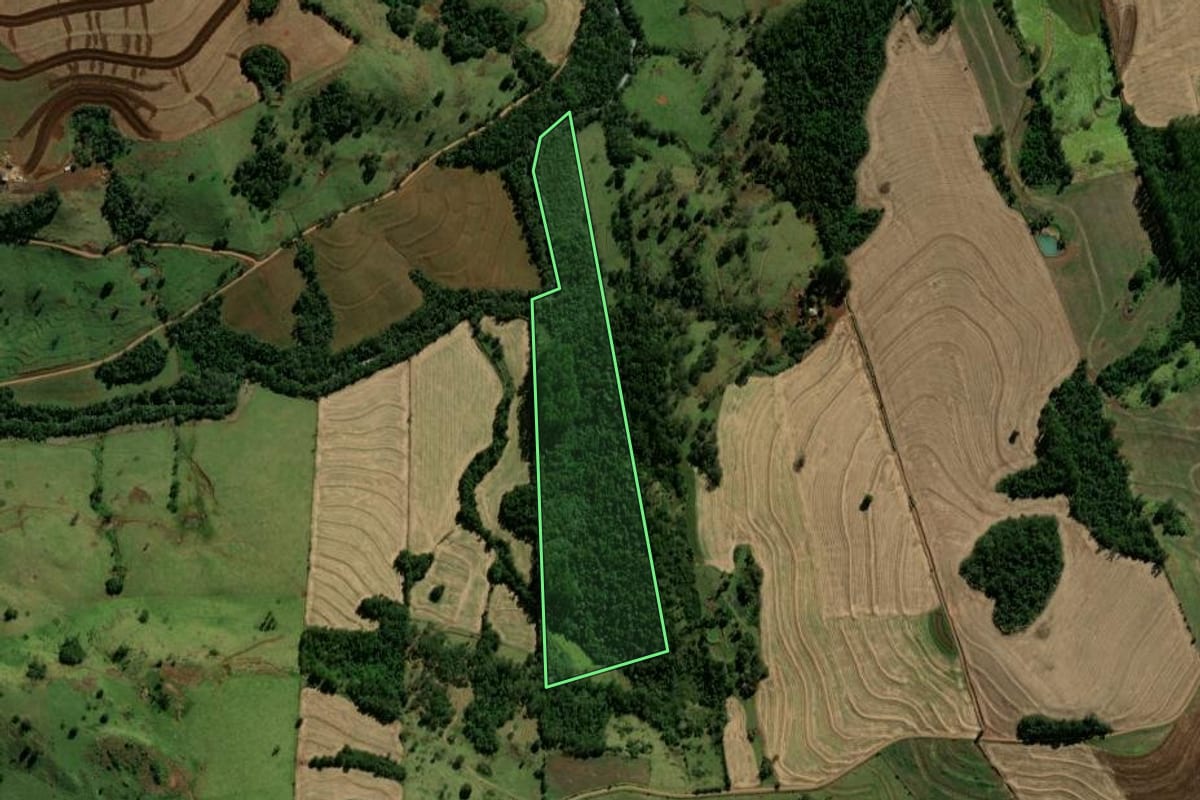 Imagem de satélite do imóvel rural em Anahy (PR), com o contorno declarado no CAR desenhado por cima.