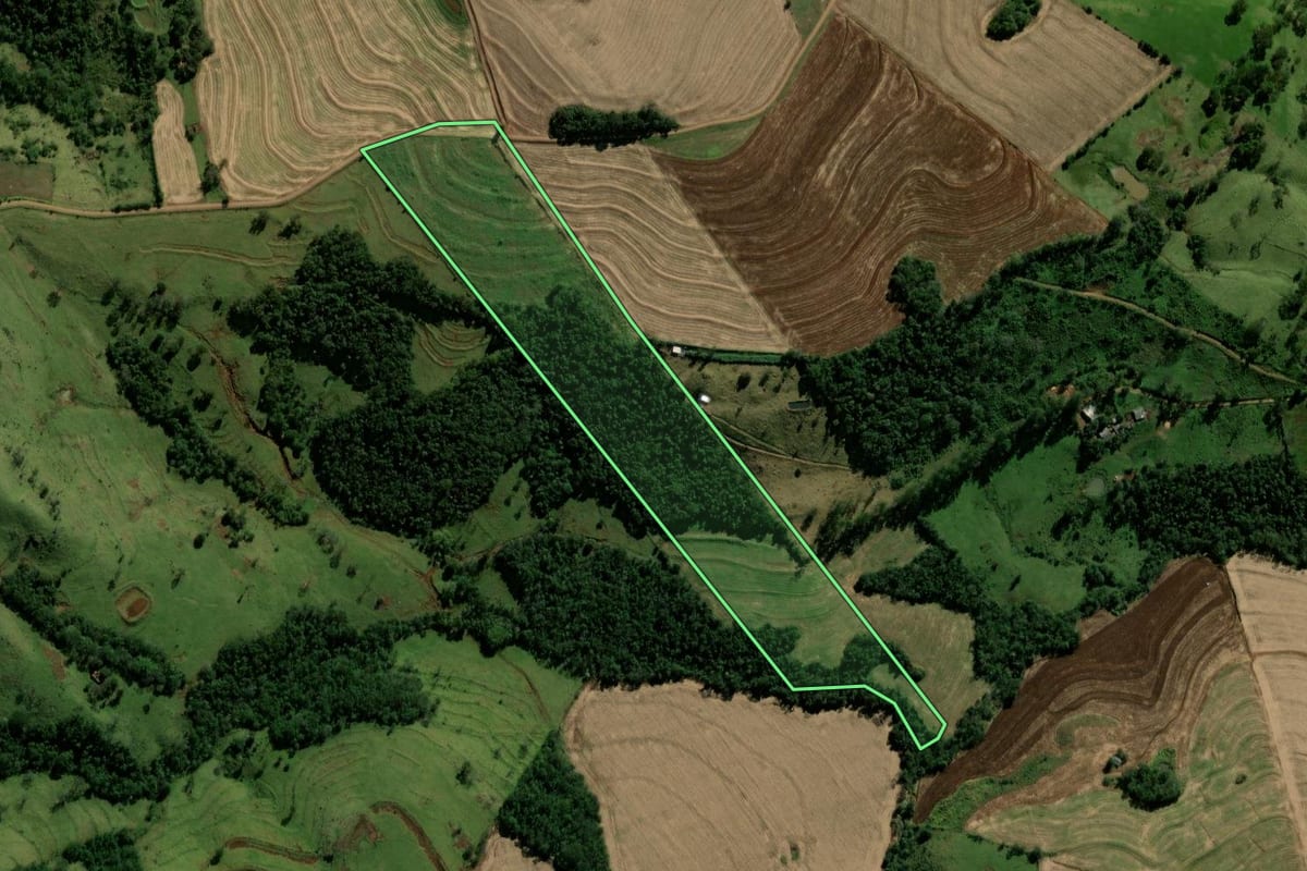 Imagem de satélite do imóvel rural em Anahy (PR), com o contorno declarado no CAR desenhado por cima.