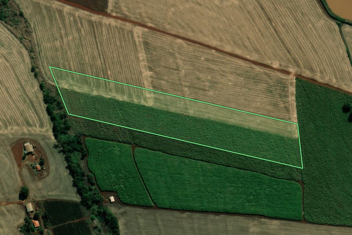 Imagem de satélite do imóvel rural em Andirá (PR), com o contorno declarado no CAR desenhado por cima.