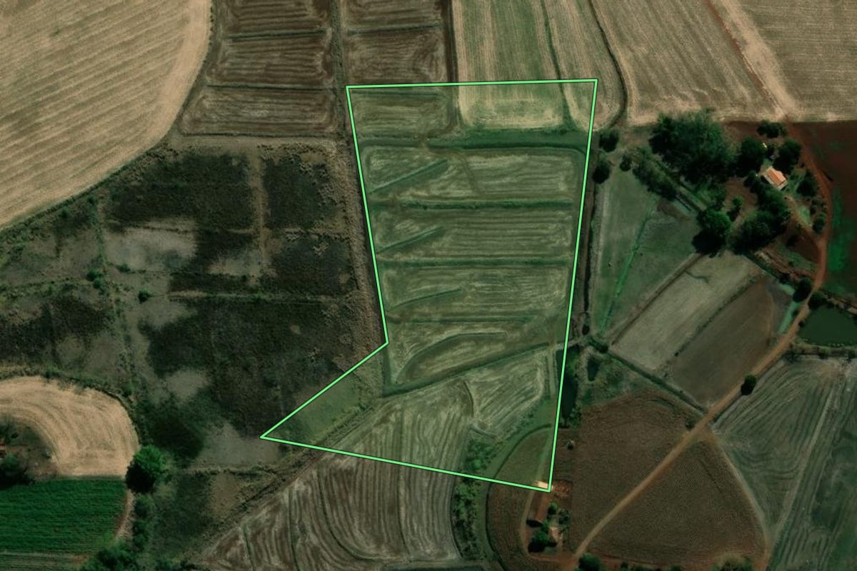 Imagem de satélite do imóvel rural em Andirá (PR), com o contorno declarado no CAR desenhado por cima.