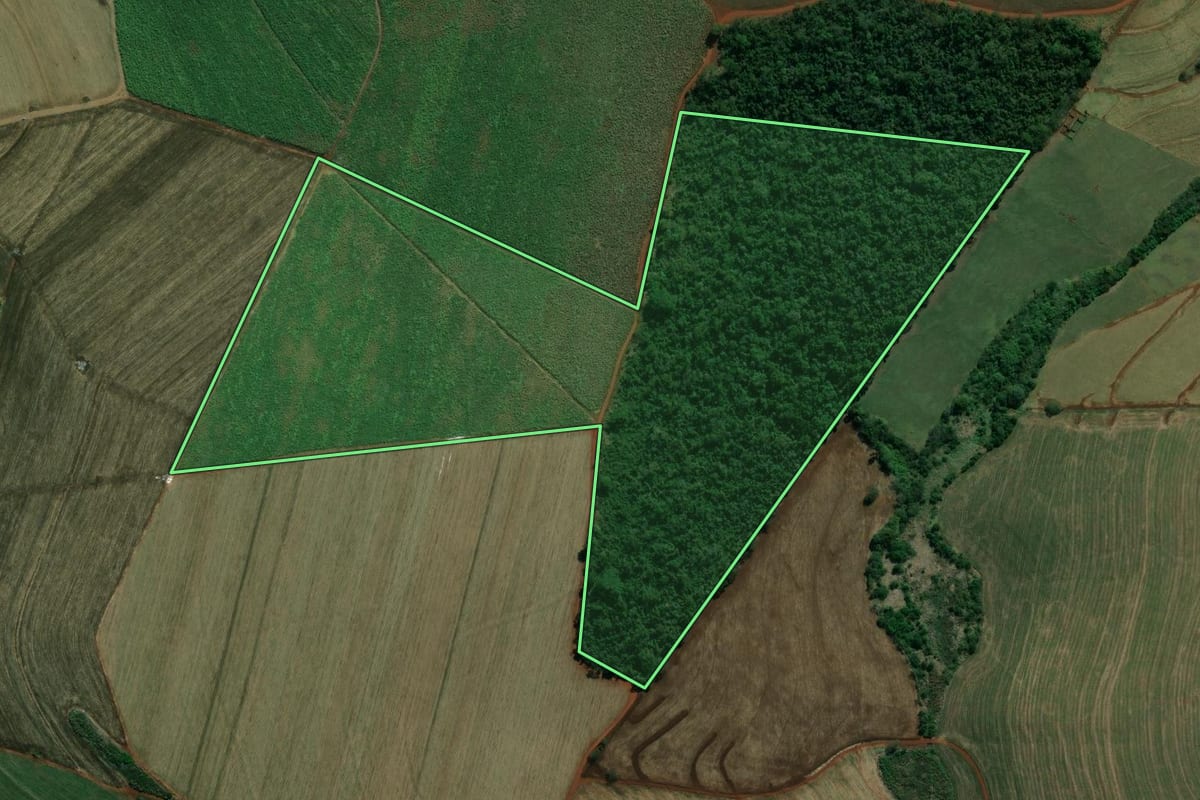 Imagem de satélite do imóvel rural em Andirá (PR), com o contorno declarado no CAR desenhado por cima.