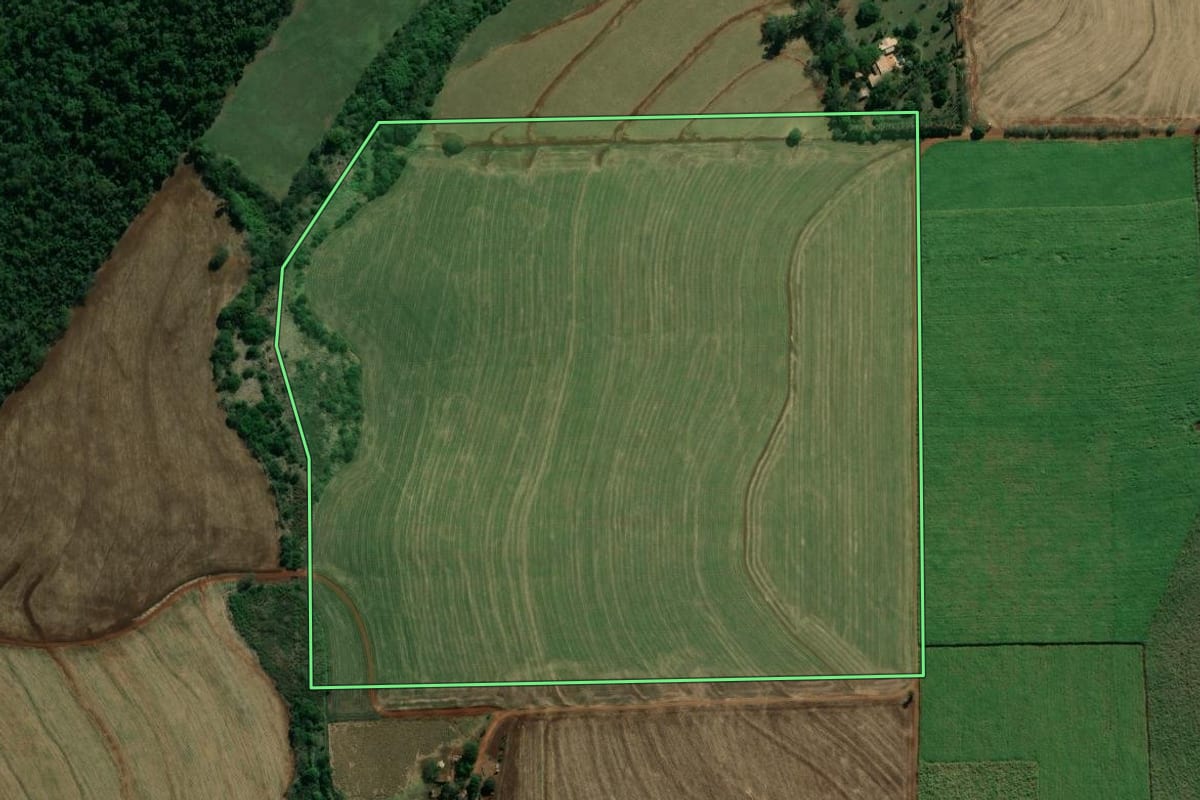 Imagem de satélite do imóvel rural em Andirá (PR), com o contorno declarado no CAR desenhado por cima.