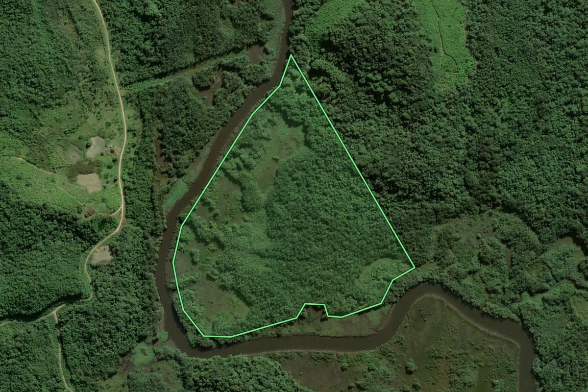 Imagem de satélite do imóvel rural em Antonina (PR), com o contorno declarado no CAR desenhado por cima.