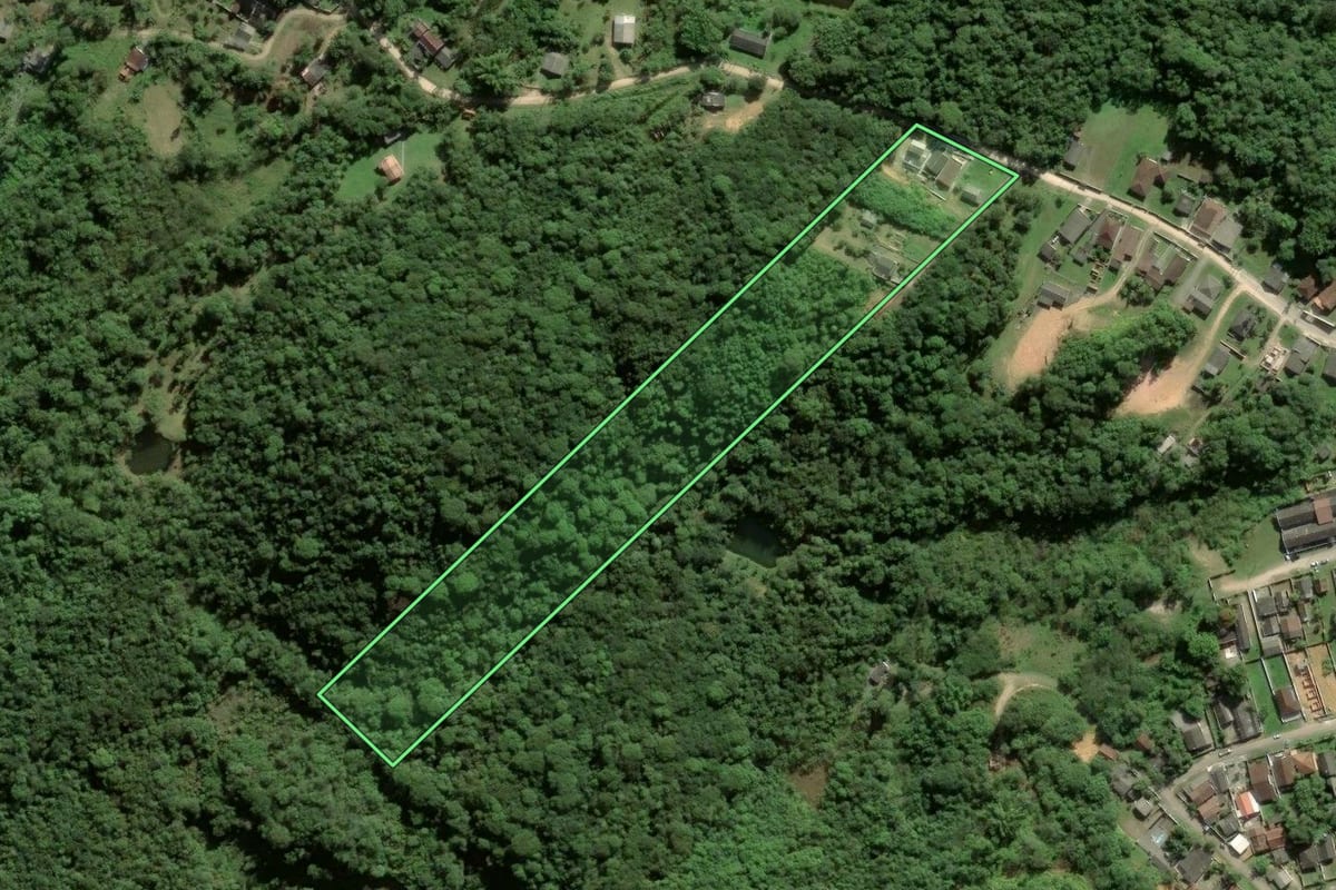 Imagem de satélite do imóvel rural em Antonina (PR), com o contorno declarado no CAR desenhado por cima.