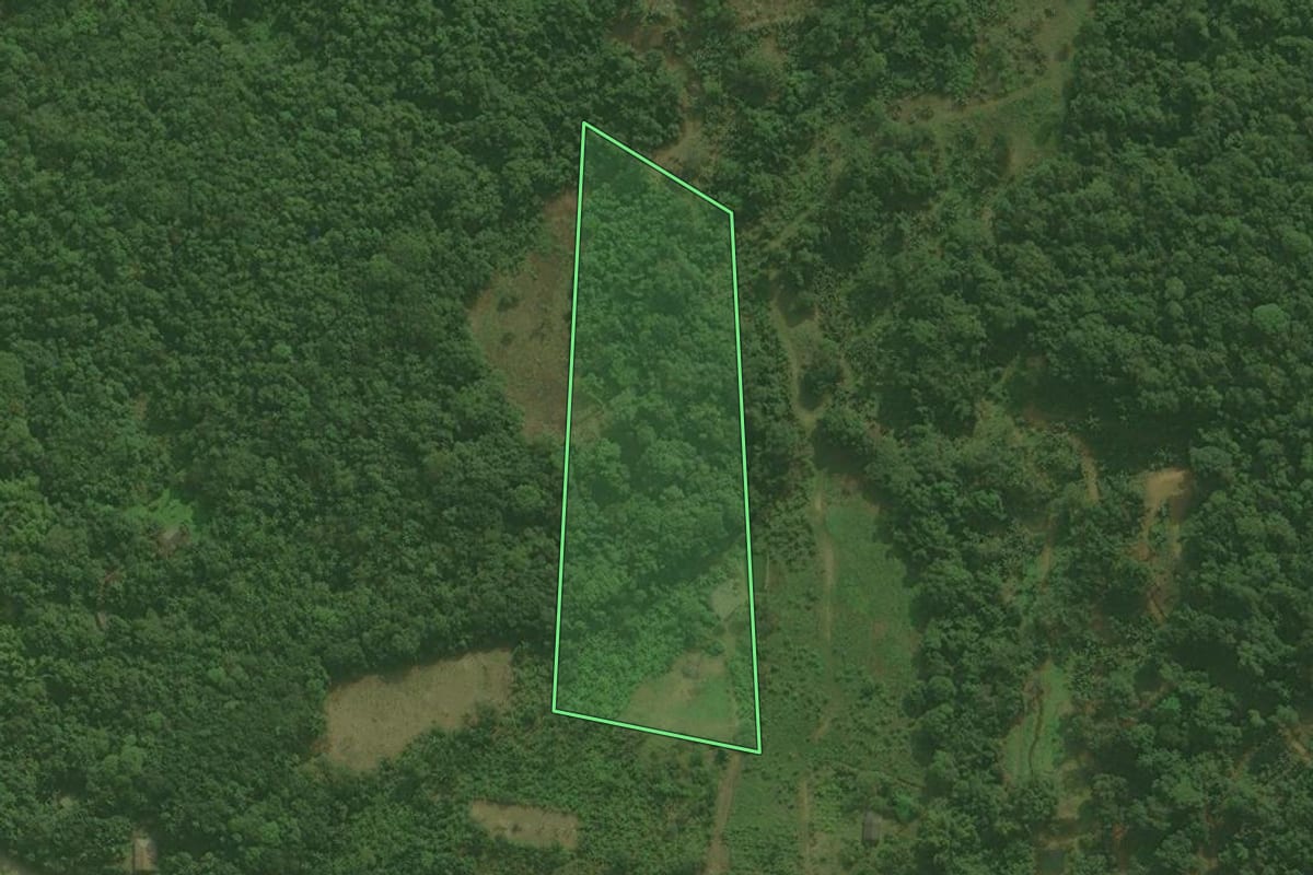 Imagem de satélite do imóvel rural em Antonina (PR), com o contorno declarado no CAR desenhado por cima.
