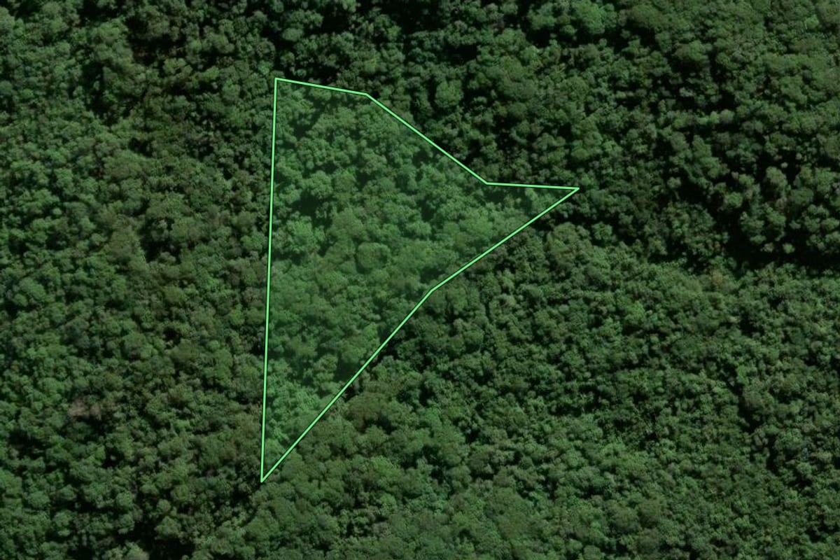 Imagem de satélite do imóvel rural em Antonina (PR), com o contorno declarado no CAR desenhado por cima.