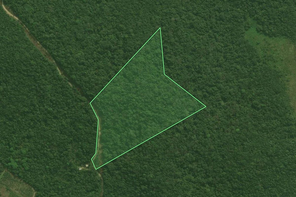 Imagem de satélite do imóvel rural em Antonina (PR), com o contorno declarado no CAR desenhado por cima.