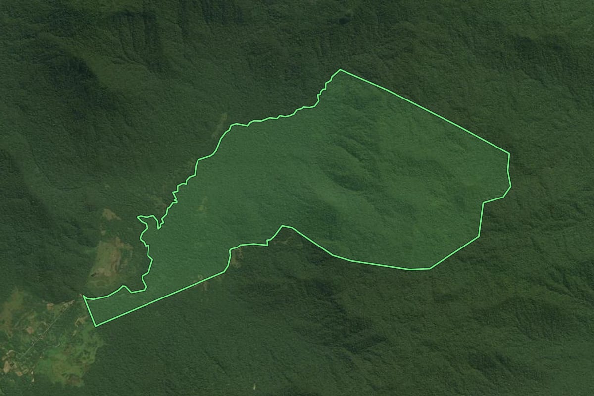 Imagem de satélite do imóvel rural em Antonina (PR), com o contorno declarado no CAR desenhado por cima.