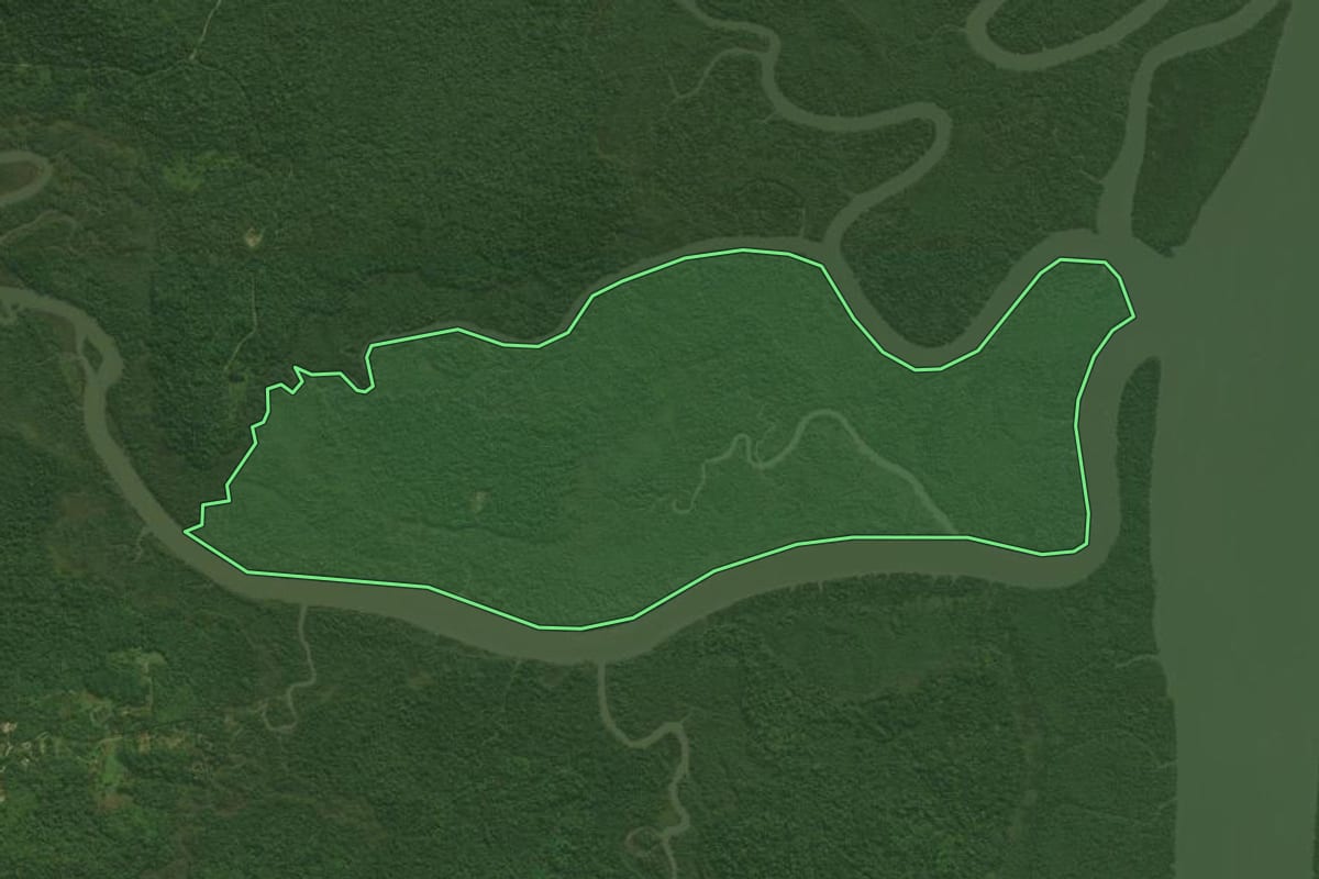 Imagem de satélite do imóvel rural em Antonina (PR), com o contorno declarado no CAR desenhado por cima.