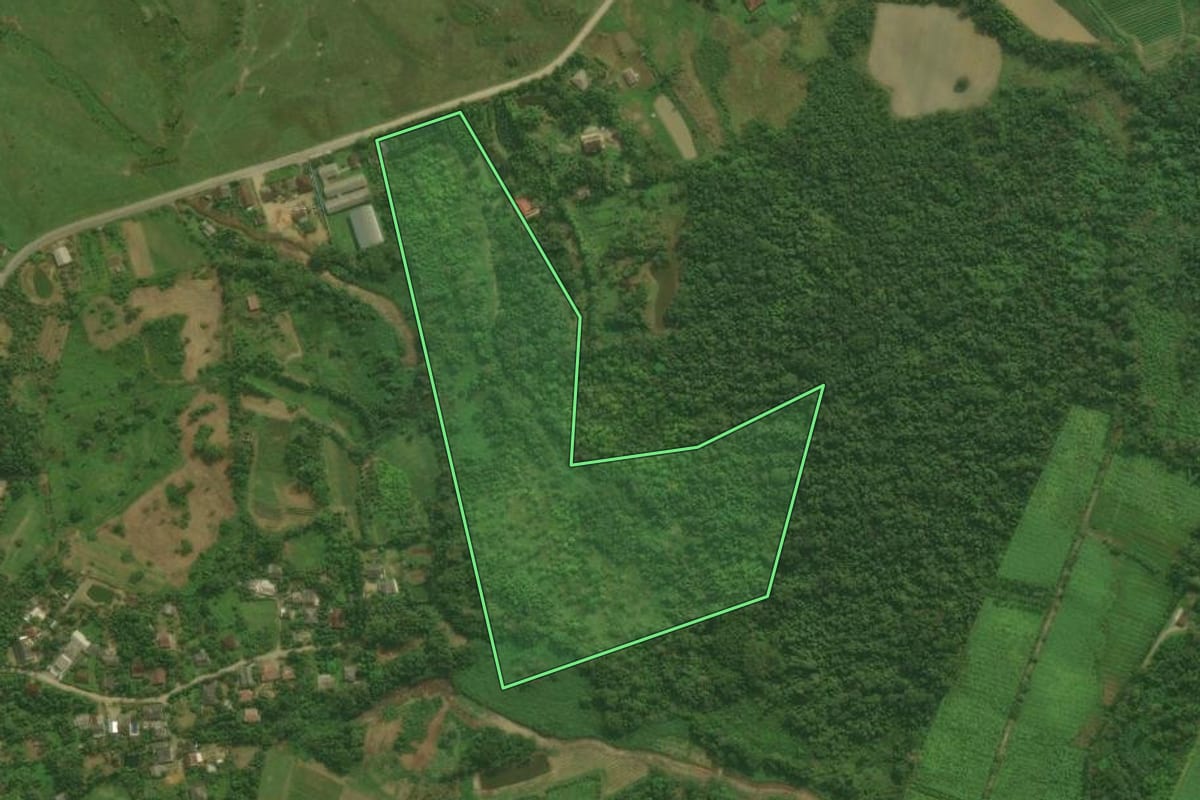 Imagem de satélite do imóvel rural em Antonina (PR), com o contorno declarado no CAR desenhado por cima.