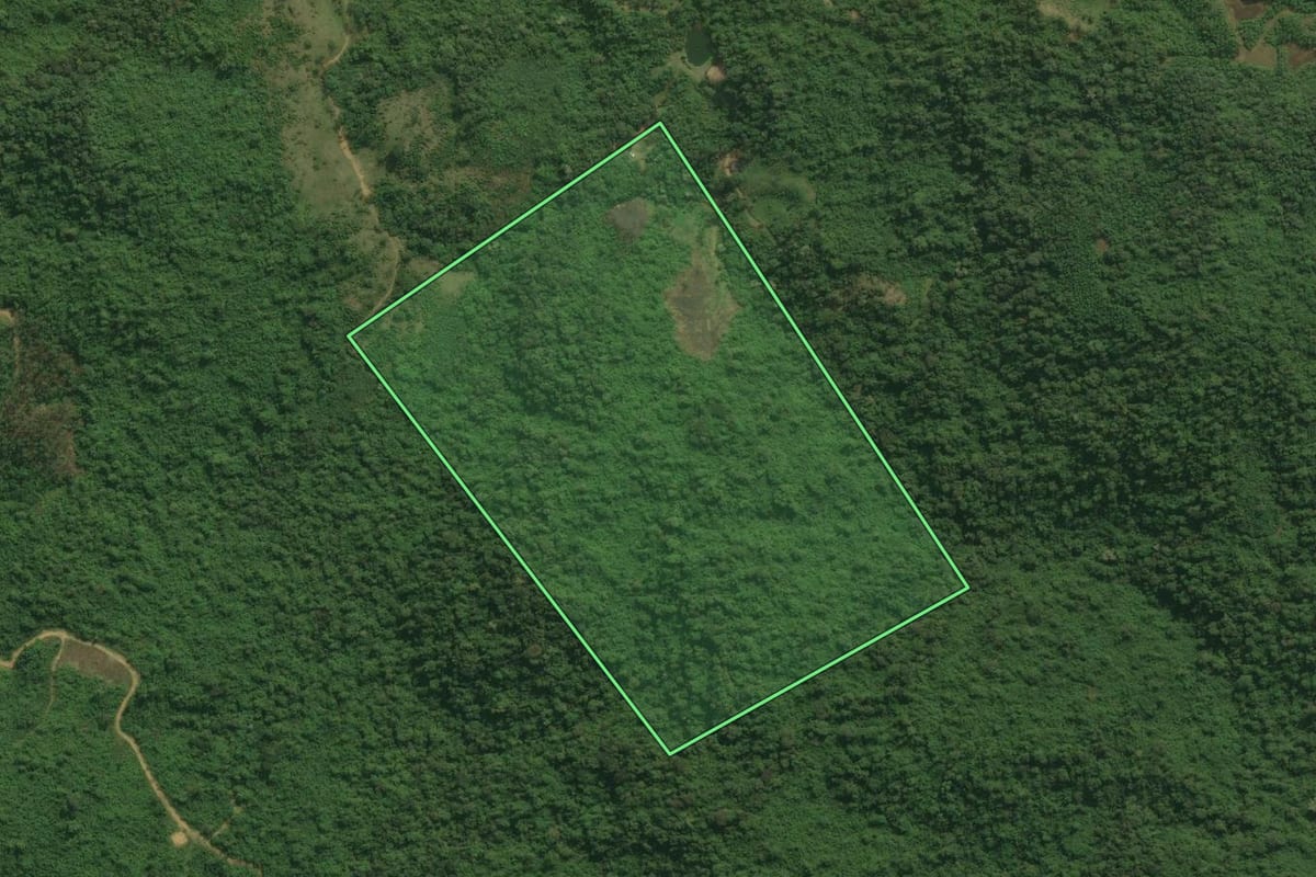 Imagem de satélite do imóvel rural em Antonina (PR), com o contorno declarado no CAR desenhado por cima.