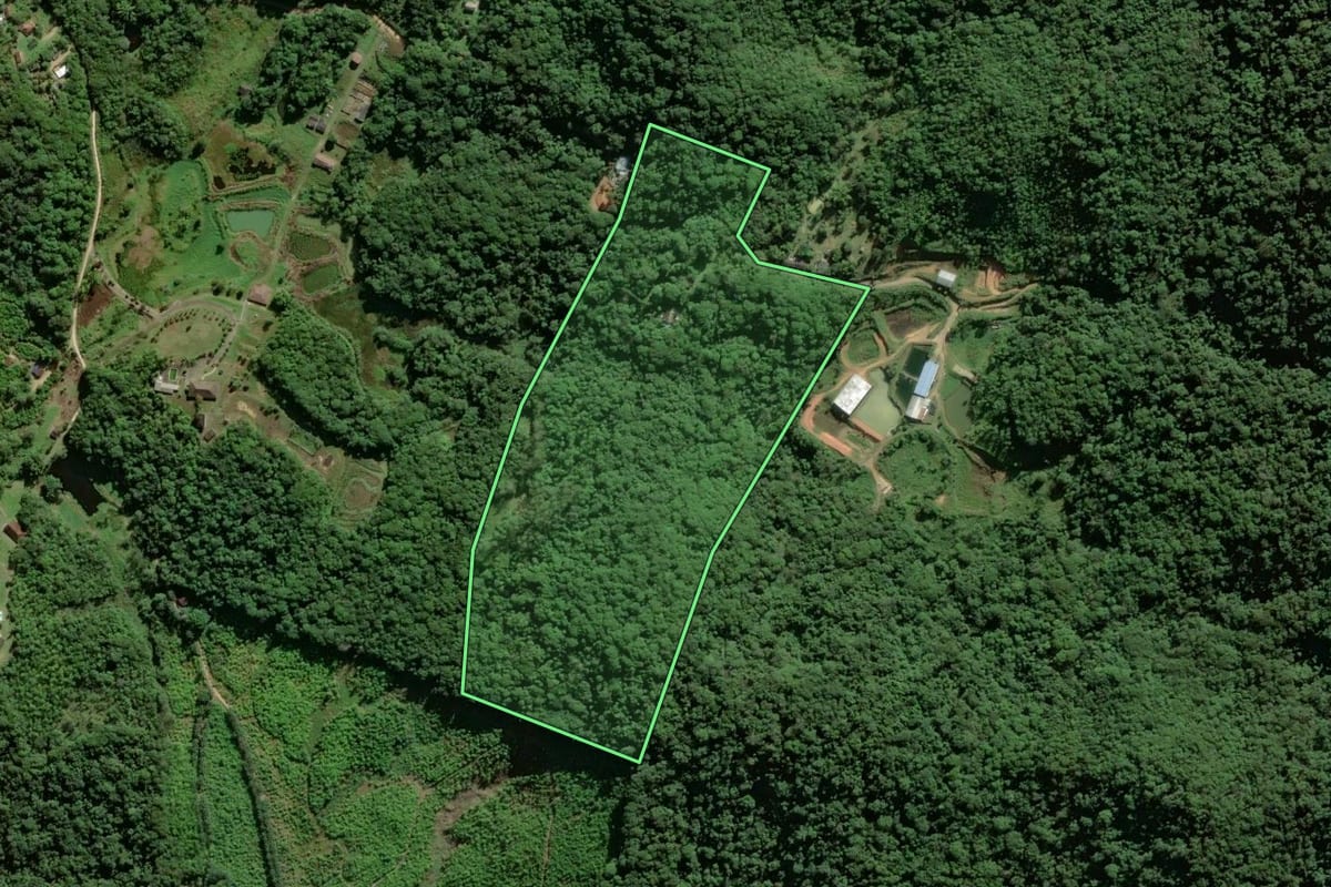 Imagem de satélite do imóvel rural em Antonina (PR), com o contorno declarado no CAR desenhado por cima.