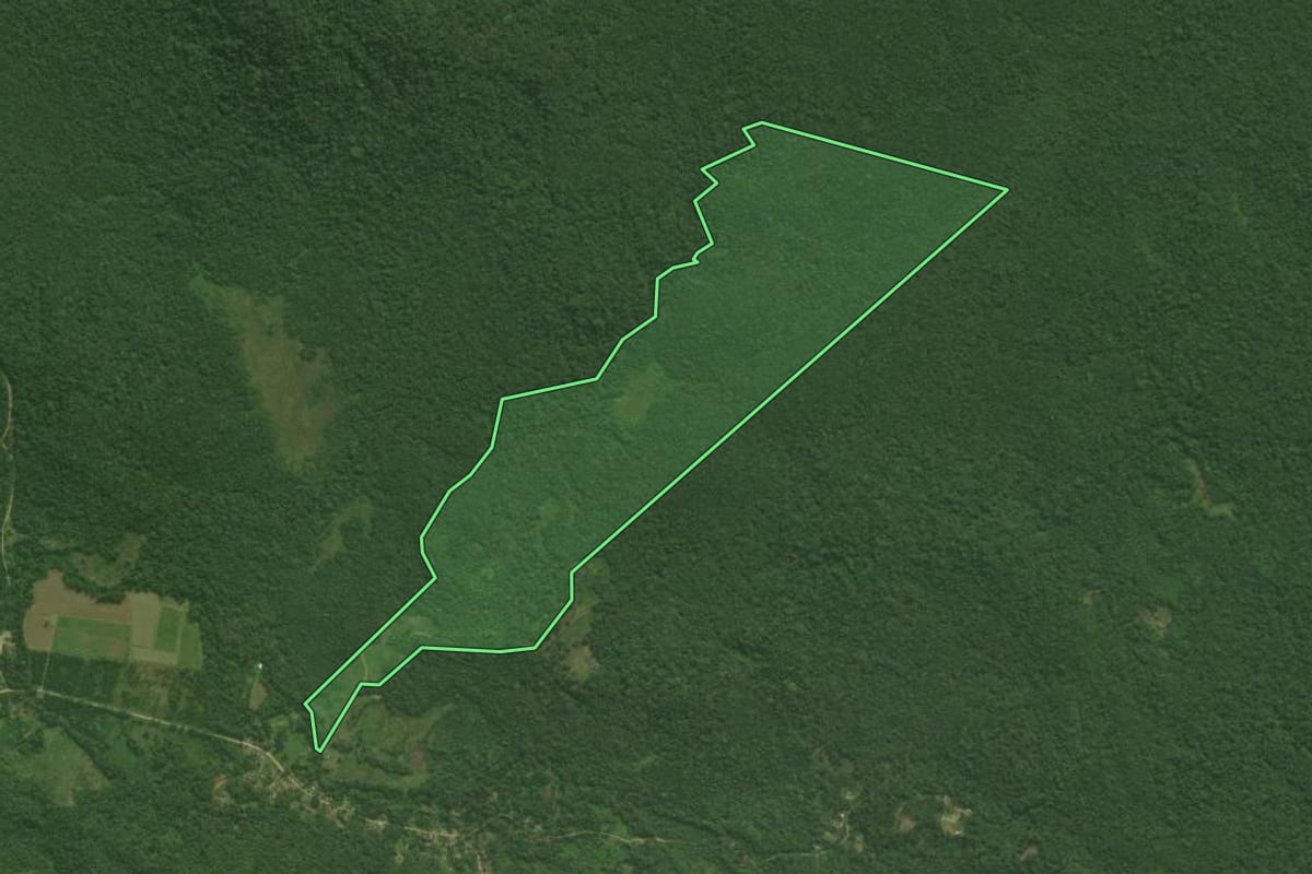 Imagem de satélite do imóvel rural em Antonina (PR), com o contorno declarado no CAR desenhado por cima.