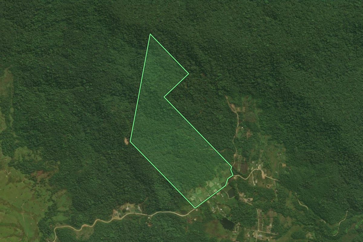Imagem de satélite do imóvel rural em Antonina (PR), com o contorno declarado no CAR desenhado por cima.