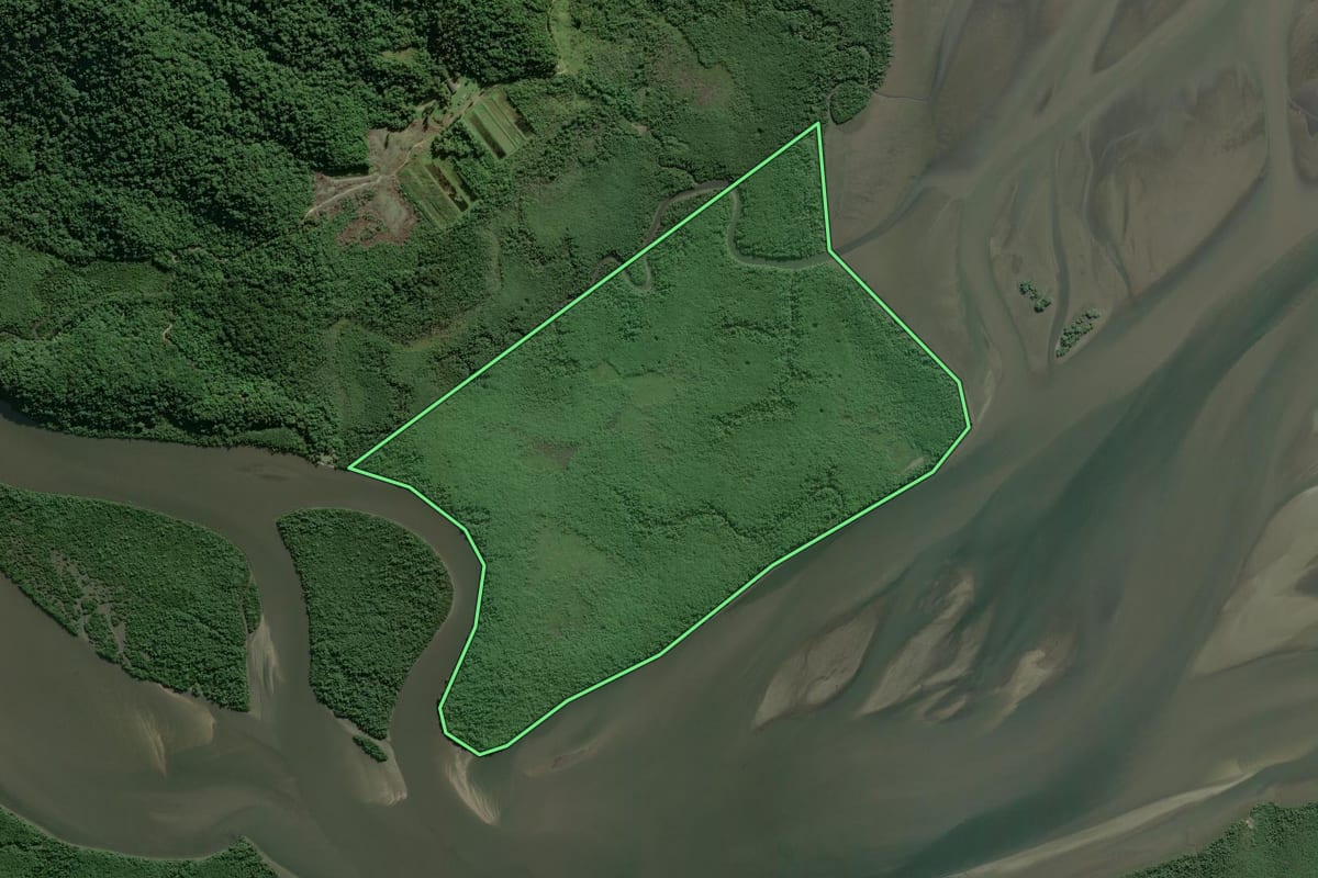 Imagem de satélite do imóvel rural em Antonina (PR), com o contorno declarado no CAR desenhado por cima.
