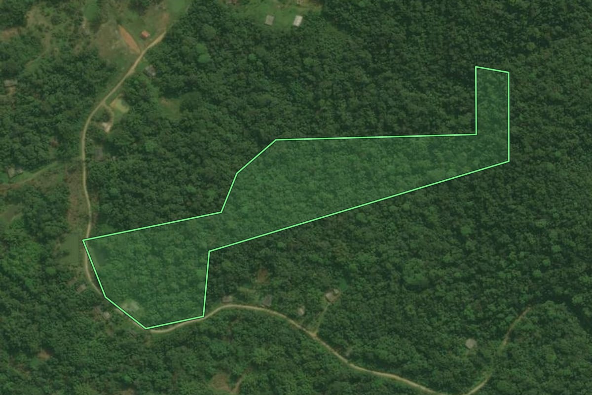 Imagem de satélite do imóvel rural em Antonina (PR), com o contorno declarado no CAR desenhado por cima.