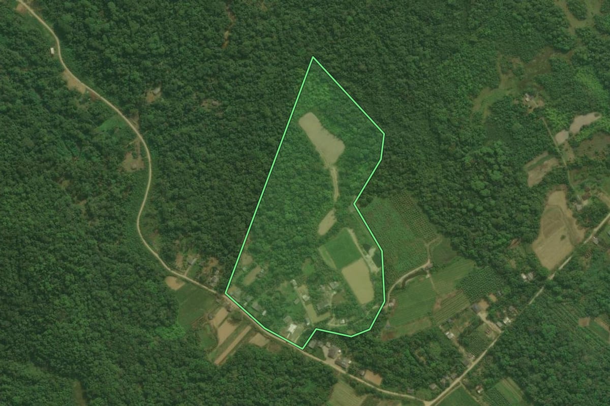 Imagem de satélite do imóvel rural em Antonina (PR), com o contorno declarado no CAR desenhado por cima.