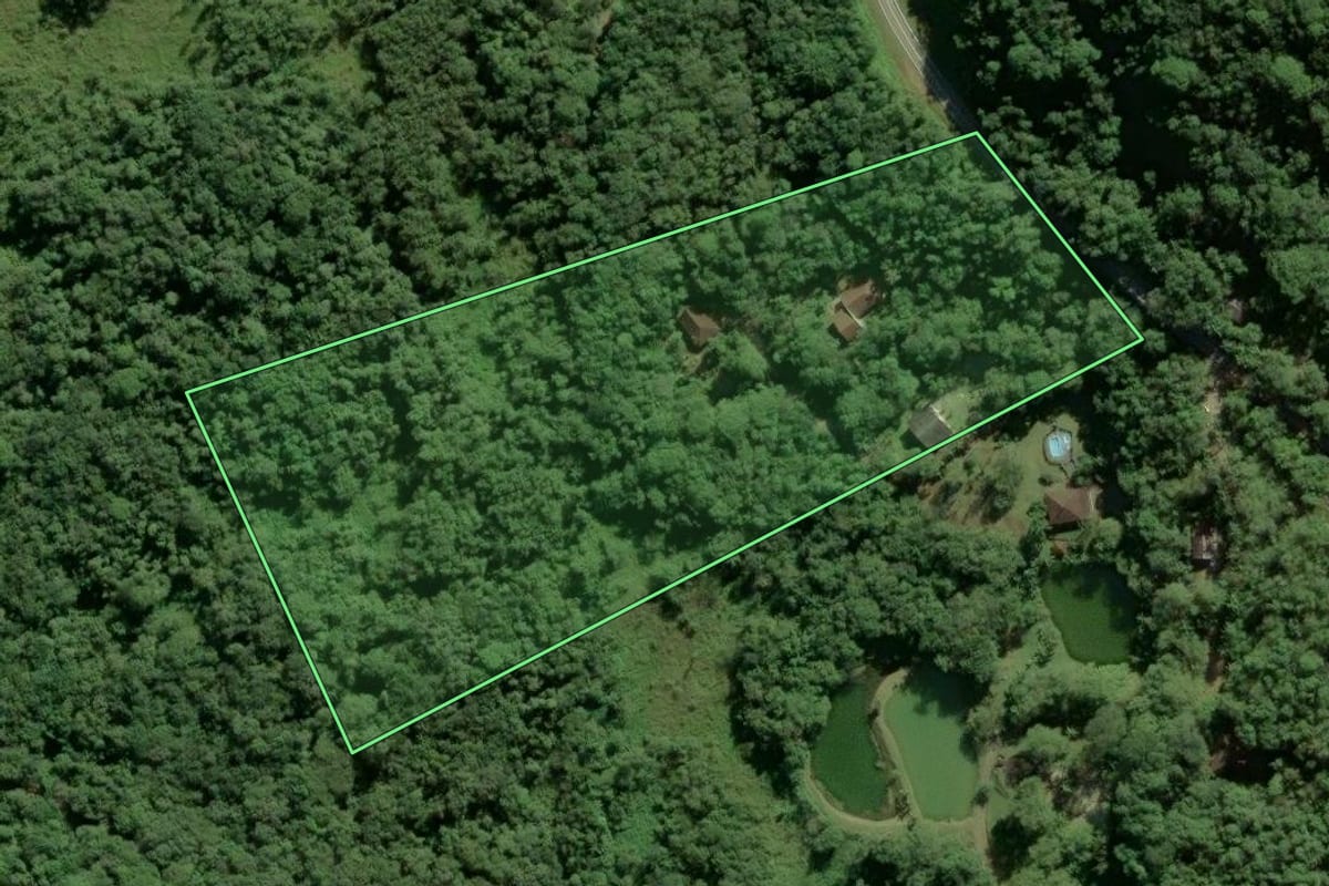 Imagem de satélite do imóvel rural em Antonina (PR), com o contorno declarado no CAR desenhado por cima.