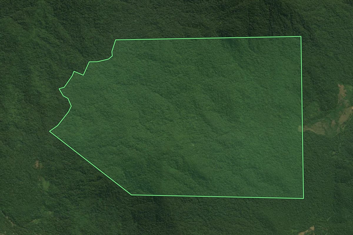 Imagem de satélite do imóvel rural em Antonina (PR), com o contorno declarado no CAR desenhado por cima.