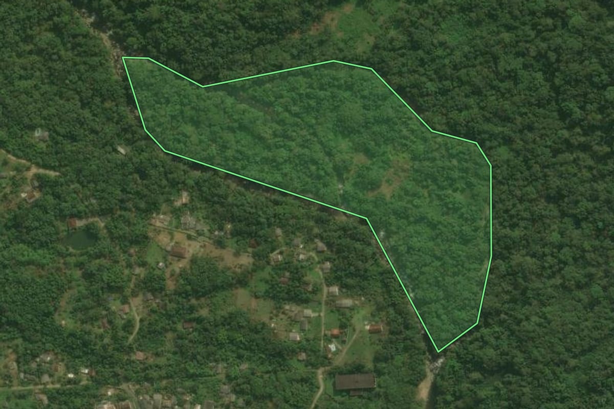 Imagem de satélite do imóvel rural em Antonina (PR), com o contorno declarado no CAR desenhado por cima.