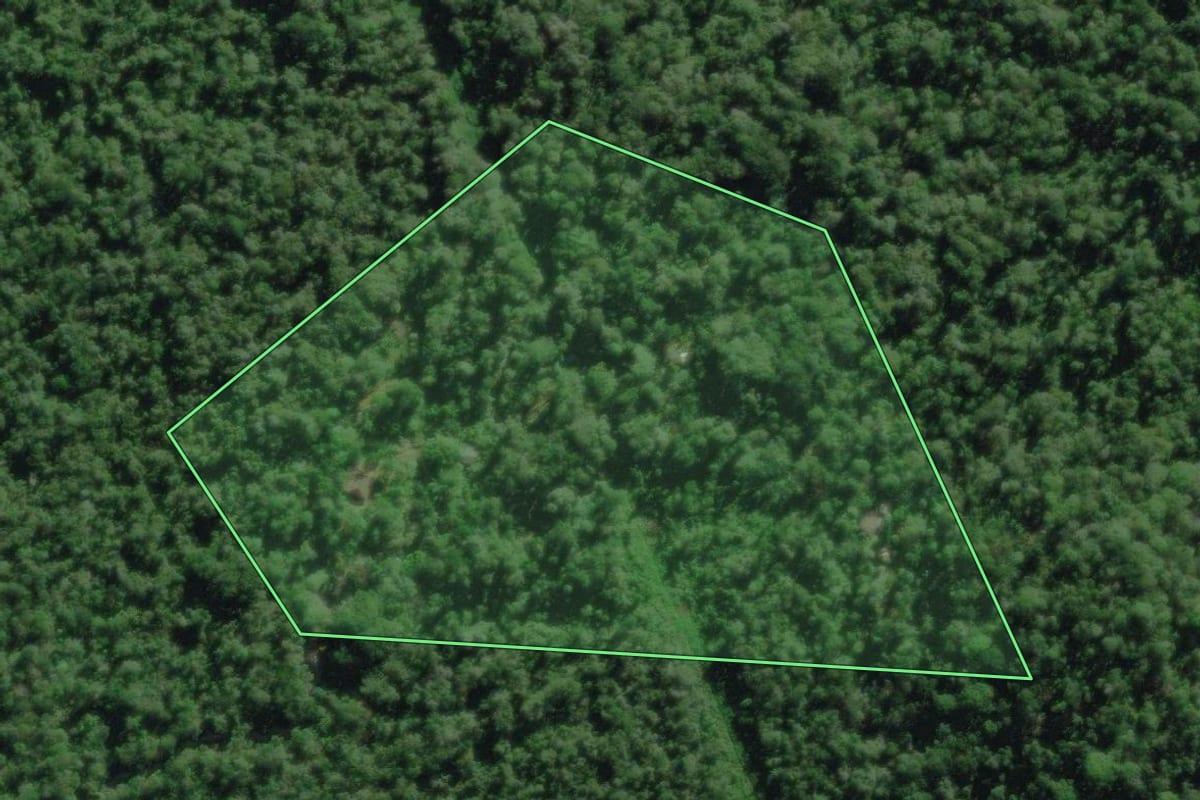 Imagem de satélite do imóvel rural em Antonina (PR), com o contorno declarado no CAR desenhado por cima.