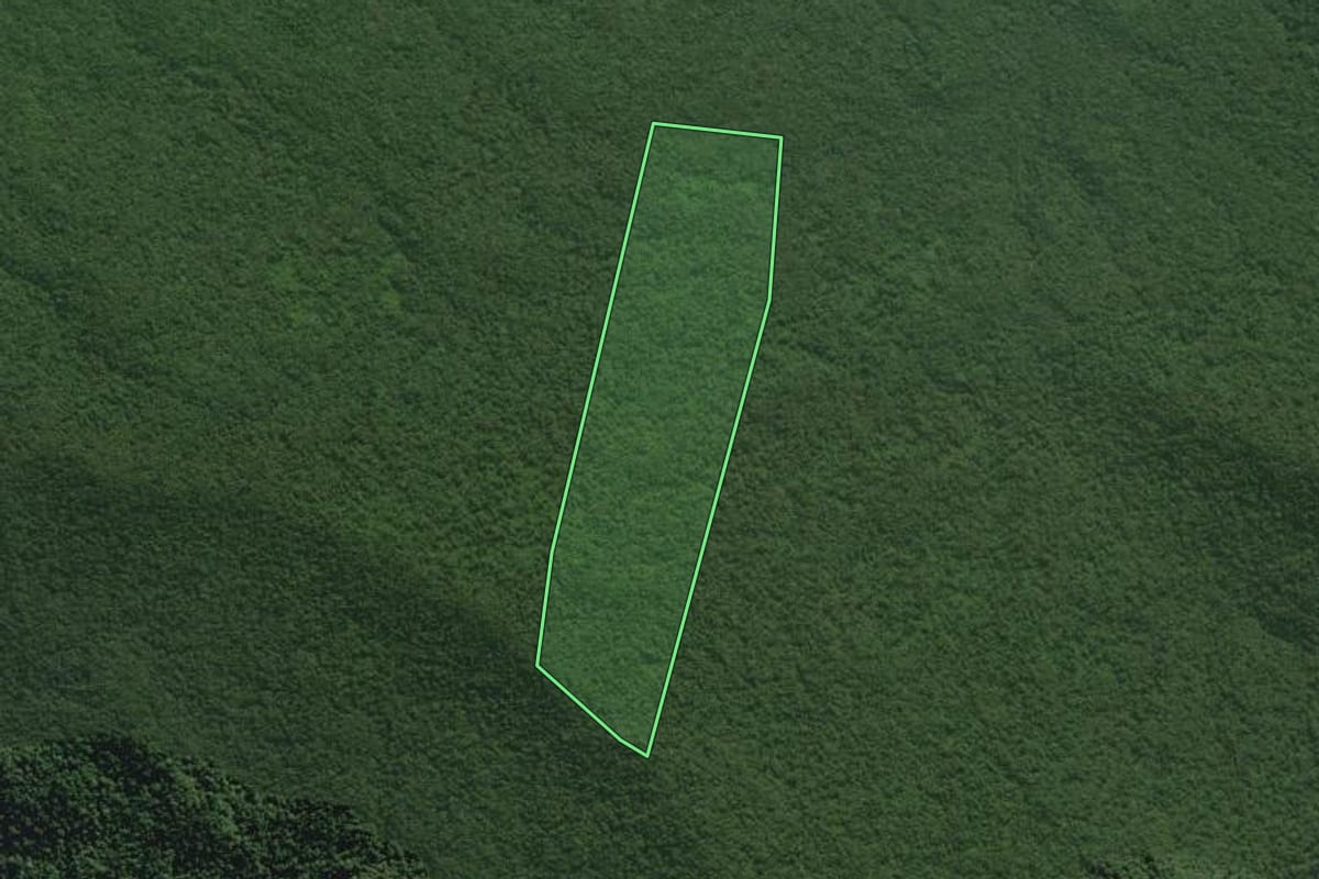 Imagem de satélite do imóvel rural em Antonina (PR), com o contorno declarado no CAR desenhado por cima.