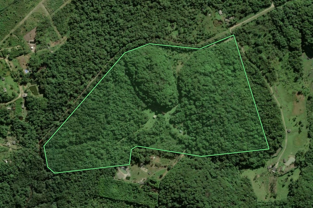 Imagem de satélite do imóvel rural em Antonina (PR), com o contorno declarado no CAR desenhado por cima.