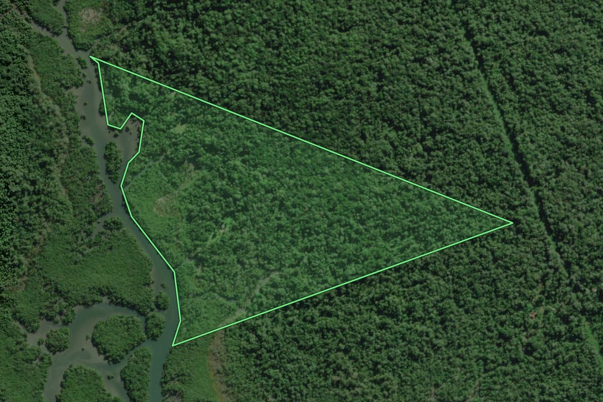Imagem de satélite do imóvel rural em Antonina (PR), com o contorno declarado no CAR desenhado por cima.